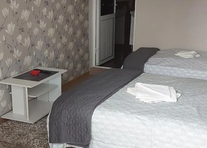 Alexandru 게스트하우스 3*