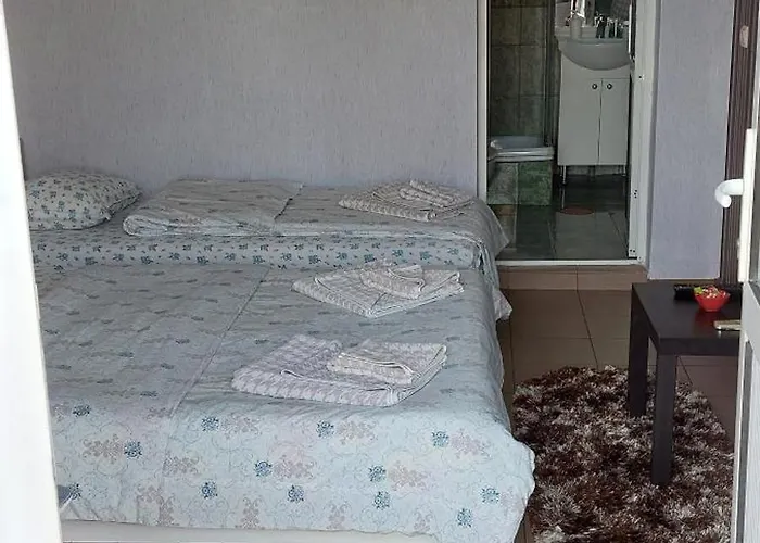 Alexandru 게스트하우스 3*