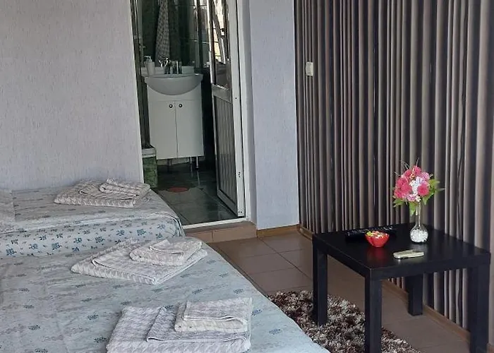 Alexandru 게스트하우스 데포리노드