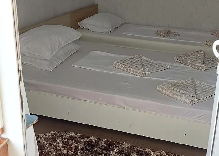 Alexandru 게스트하우스 데포리노드