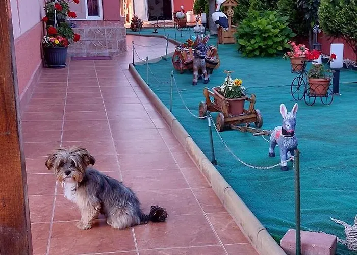 Alexandru 게스트하우스 데포리노드