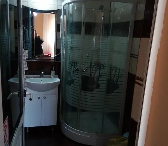 게스트하우스 Alexandru 데포리노드