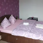 Guest house Alexandru 3*
