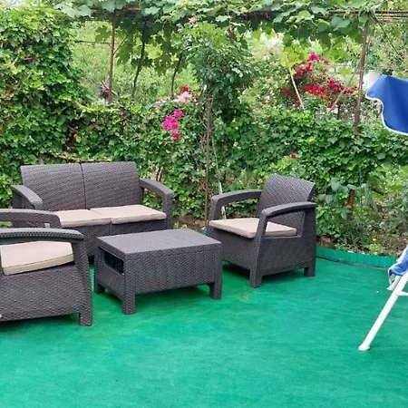 Guest house Alexandru