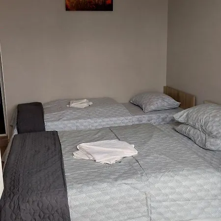 Guest house Alexandru