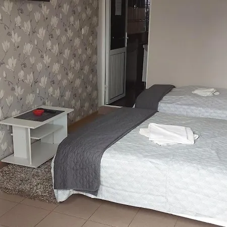 Alexandru Guest house *