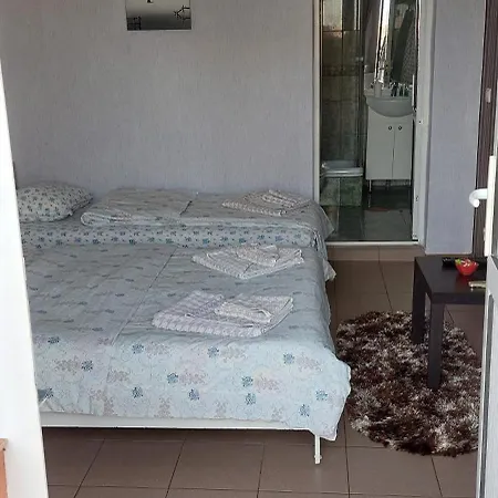 Alexandru Guest house *
