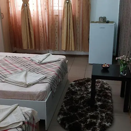 Alexandru Guest house *