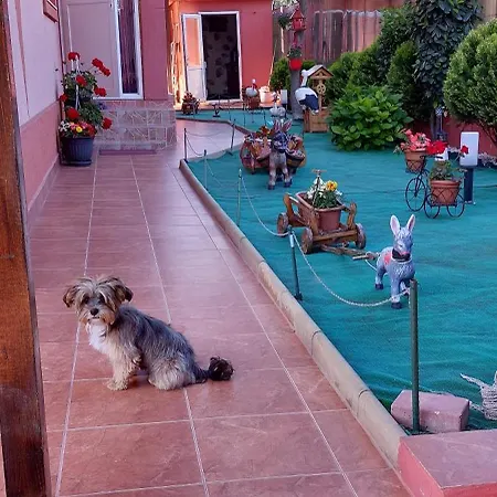 Alexandru Guest house Eforie Nord