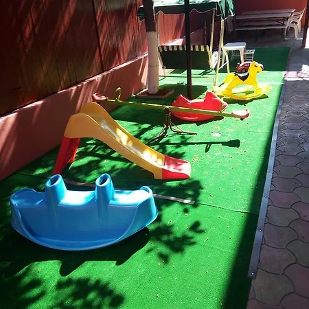 Alexandru Guest house *